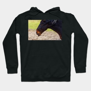 Portrait of a chestnut horse Hoodie